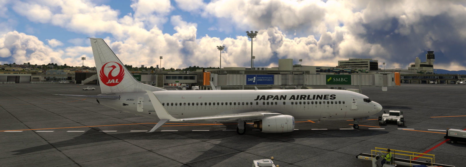 Japan Airlines JA302J